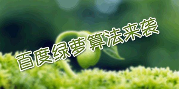 什么是綠蘿算法？